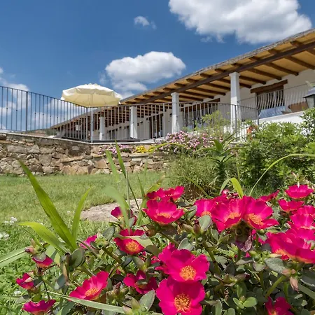 Case Vacanze Nioleo - Apartments And Pool Apartment *