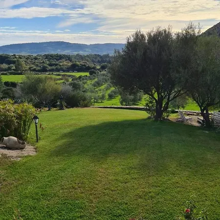Appartamento Nioleo Con Piscina